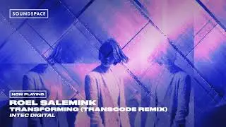 Roel Salemink - Transforming (Transcode Remix)