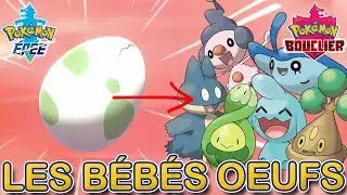 Les Bébé Oeuf Pokémon ( Mime J.R, Okéoké, Goinfrex, Manzai… ) | Pokémon Épée et Bouclier