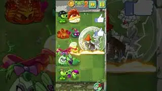 PvZ 2 - Plants Vs Hamster Ball Zombie Team  - P2 - What Couple Will Win? #shorts #pvz2