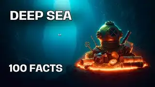 Secrets of the Deep Sea Abyss: 100 Strange Objects & Creatures (2h Atmospheric Sleep)