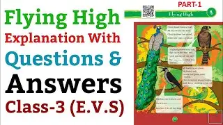 Flying High 🚀 | NCERT Class 3 EVS Looking Around  Chapter 8 with Picture Explanation 📚 🌍| Part-1