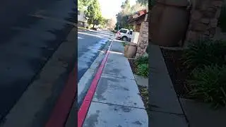 9am walk 