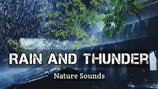 Surrender to the Storm || Heavy Rain & Thunder for Deep Sleep ⛈️ Asmr for Sleep