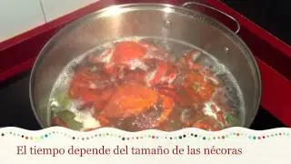 Cocer Nécoras | Rías Atlánticas