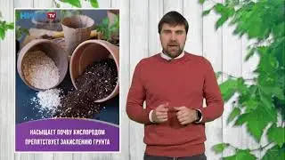 Подготовка современного субстрата для пересадки