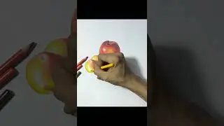 Gambar buah dengan Pensil warna