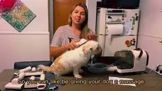Bunfly Pet Clipper Grooming Kit & Vacuum  Pet Hair, 7 Pet Grooming Tools, Quiet Pet Vacuum Groomer.