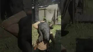 WHAT IF YOU TAKE THE LEGENDARY ANIMAL TO THE CAMP?