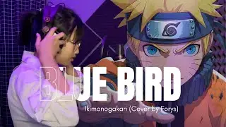 【Forysca】Blue Bird - Ikimono Gakari