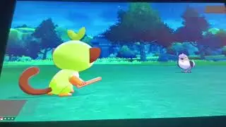 Pokemon Sword Let's Play Episode 3: Mis-Adventures in the Wild Area