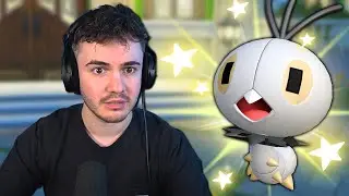 I Began Catching Wild Zone 1 Shinies in My Z-A Professor Oak
