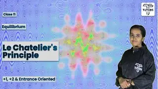 Class 11 Chemistry Chapter 7 &ndash; Equilibrium | Le Chatelier's Principle | Malayalam