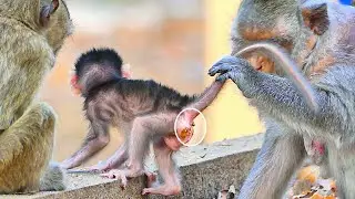 Really P-i-t-y The Newborn After She Slips And Fall Down. Monkey Berry.