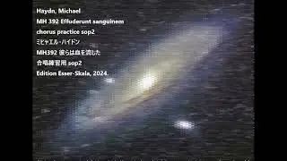 Haydn, Michael MH 392 Effuderunt sanguinem chorus practice sop2 ミヒャエル・ハイドン MH392 彼らは血を流した 合唱練習用 sop2