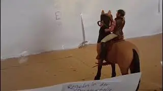 Alltag auf dem Ponyhof mit Schleich Pferden 🐴 