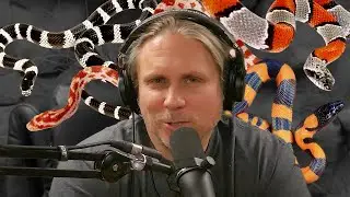 Brian Barczyk - Snake Talk!!!