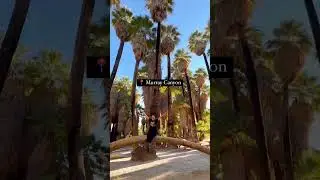 Murray Canyon Trail, Palm Springs, CA