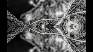 Nanoptiq - Monoduplex