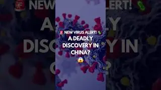 🚨 New Bat Virus Found! Another Pandemic Risk? 😱