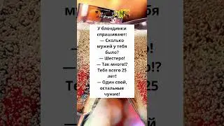 самые невероятные мужья