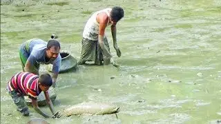 Asian Village Traditional Fishing Technique by Village People