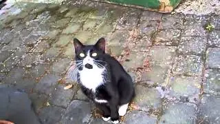 Super süß! Mein pupsi3