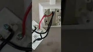 light plug connection