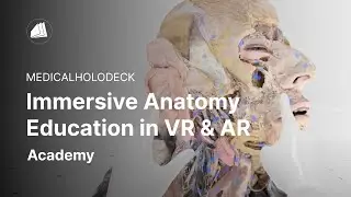 The Leading XR Anatomy App for Medicine Students