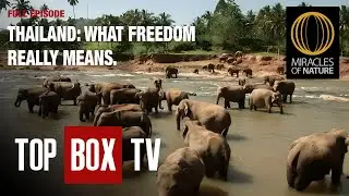 Miracles of Nature: Thailand, Ceylon