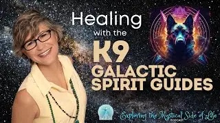 How the K9 Galactic Spirit Guides Can Help You Heal | Exploring the Mystical Side of Life 