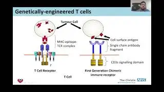 Adoptive cell therapy for solid malignancies