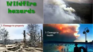 Natural Disaster   FOREST FIRE