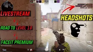 🔴 Counter-Strike FACEIT: Level 10 or BUST