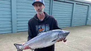#fishingwithfrye South Sound Fishing MA13, Jigging Up Chinook Salmon.. @fishingwithfrye