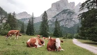 dal rifugio Capanna Alpina al Lago di Lagazuoi. 18/07/23
