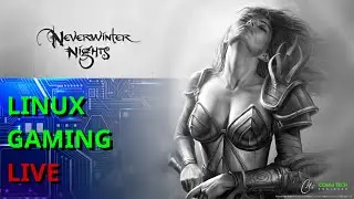 Linux Gaming Live | Neverwinter Nights: Enhanced Edition