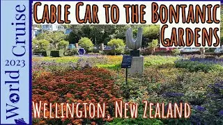 Historic Cable Car to the Wellington Botanic Gardens | Wellington, New Zealand