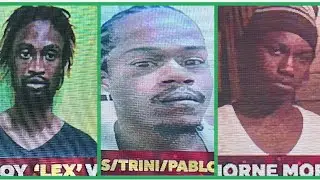 WANTED - Lexroy &lsquo;Lex&rsquo; Vaz, Keston &lsquo;Cas/Trini/Pablo&rsquo; Bertrand and Thorne Morgan - Have you seen them