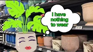 More Pots|New And On Sale:#plants #houseplants #plantdecor #planterstand 