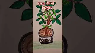 easy drawing of belptra plant // बेलपत्र drawing #art #schoolassignment #shivdrawing #geographyfile