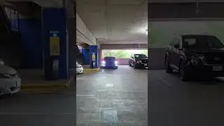 Tesla Custom Pedestrian Warning System