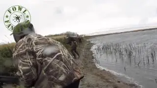 Jump Shooting Blue Wing Teal