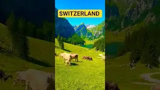 SWITZERLAND #switzerland #switzerlandmylove #switzerlandtour