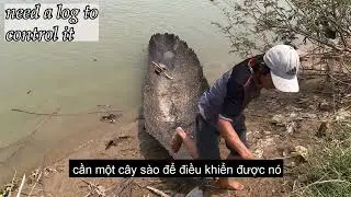 Live alone | the story of the bamboo boat | Sinh tồn một m&igrave;nh v&agrave; c&acirc;u chuyện con thuyền cũ kỹ.