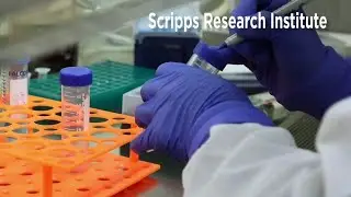 Trust Index: Scientists say no evidence mutated COVID-19 virus is weaker