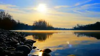 Crickets, Birdsong & Piano | Relaxing Nature Sounds with Gentle Music