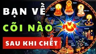 Bạn sẽ luân hồi về cõi nào sau khi chết? Hãy kiểm tra ngay!