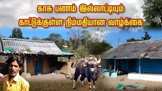 காசு பணம் இல்லாட்டியும் காட்டுக்குள்ளே நிம்மதியான வாழ்க்கை | Life in the forest without money |