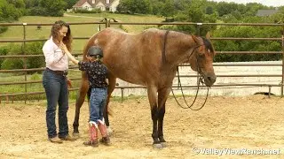Blazing Bo - Little Cowboy bareback mount, dismount, pick up all four feet! - ValleyViewRanch.net
