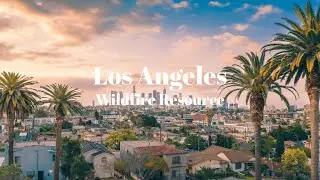 Wildfire Resources for the Los Angeles Community: Your Guide to Support and Recovery